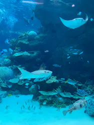 名古屋港水族館に投稿された画像（2026/5/17）