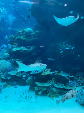 名古屋港水族館に投稿された画像（2026/5/17）