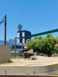 天王寺動物園に投稿された画像（2026/5/17）