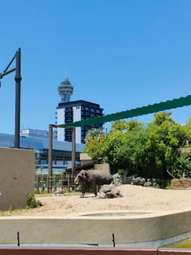 天王寺動物園に投稿された画像（2026/5/17）