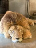 天王寺動物園に投稿された画像（2026/5/17）