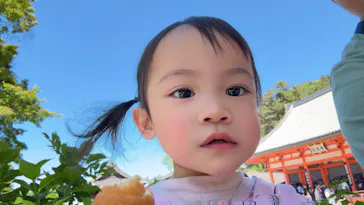 勝尾寺に投稿された画像（2026/5/17）