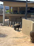天王寺動物園に投稿された画像（2026/5/17）