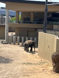 天王寺動物園に投稿された画像（2026/5/17）