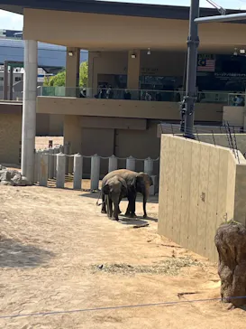 天王寺動物園に投稿された画像（2026/5/17）