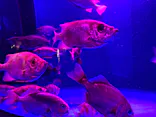 仙台うみの杜水族館に投稿された画像（2026/5/17）