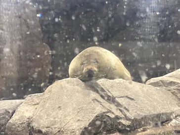 仙台うみの杜水族館に投稿された画像（2026/5/17）