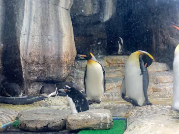 仙台うみの杜水族館に投稿された画像（2026/5/17）