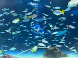 サンシャイン水族館に投稿された画像（2026/5/17）
