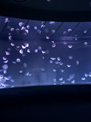 サンシャイン水族館に投稿された画像（2026/5/17）