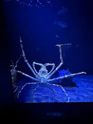 サンシャイン水族館に投稿された画像（2026/5/17）