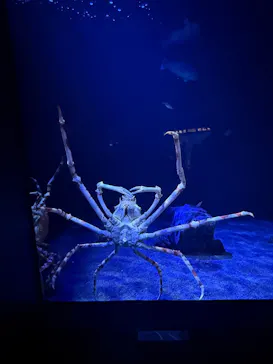 サンシャイン水族館に投稿された画像（2026/5/17）