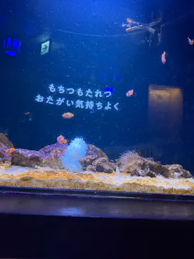 横浜開運水族館 フォーチュンアクアリウムに投稿された画像（2026/5/17）