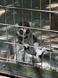 千葉市動物公園に投稿された画像（2026/5/17）