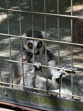 千葉市動物公園に投稿された画像（2026/5/17）