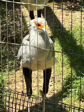 千葉市動物公園に投稿された画像（2026/5/17）