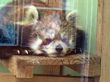千葉市動物公園に投稿された画像（2026/5/17）