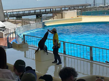 マリンワールド海の中道に投稿された画像（2026/5/17）