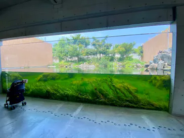 環境水族館アクアマリンふくしまに投稿された画像（2026/5/17）