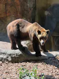 恩賜上野動物園に投稿された画像（2026/5/17）