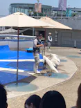 大分マリーンパレス水族館 「うみたまご」に投稿された画像（2026/5/17）