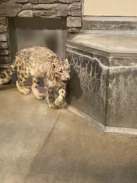 いしかわ動物園に投稿された画像（2026/5/17）