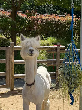 いしかわ動物園に投稿された画像（2026/5/17）