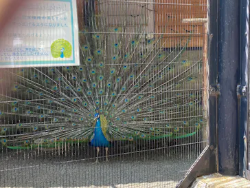 いしかわ動物園に投稿された画像（2026/5/17）