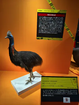 特別展「超危険生物展　科学で挑む生き物の本気」に投稿された画像（2026/5/17）