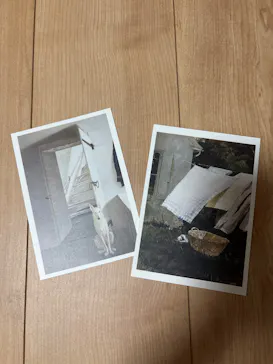 東京都美術館開館100周年記念　アンドリュー・ワイエス展に投稿された画像（2026/5/17）