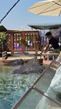新江ノ島水族館に投稿された画像（2026/5/17）