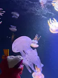 マリンワールド海の中道に投稿された画像（2026/5/17）