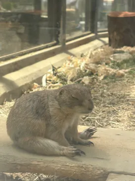 名古屋市東山動植物園に投稿された画像（2026/5/17）