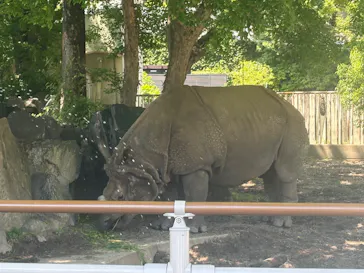 名古屋市東山動植物園に投稿された画像（2026/5/17）