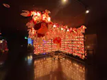 NARA KINGYO MUSEUMに投稿された画像（2026/5/17）