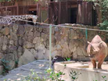 恩賜上野動物園に投稿された画像（2026/5/17）