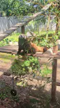 いしかわ動物園に投稿された画像（2026/5/17）