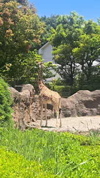 いしかわ動物園に投稿された画像（2026/5/17）