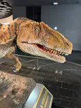 福井県立恐竜博物館に投稿された画像（2026/5/17）