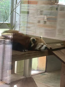 千葉市動物公園に投稿された画像（2026/5/17）