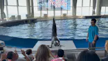 アクアワールド茨城県大洗水族館に投稿された画像（2026/5/17）