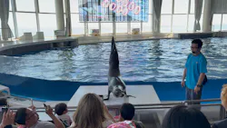 アクアワールド茨城県大洗水族館に投稿された画像（2026/5/17）