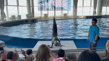 アクアワールド茨城県大洗水族館に投稿された画像（2026/5/17）