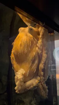 アクアワールド茨城県大洗水族館に投稿された画像（2026/5/17）