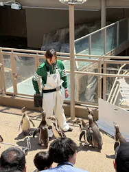 アクアワールド茨城県大洗水族館に投稿された画像（2026/5/17）