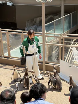 アクアワールド茨城県大洗水族館に投稿された画像（2026/5/17）