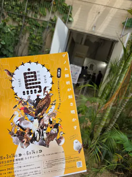 特別展「鳥 ～ゲノム解析が解き明かす新しい鳥類の系統～」に投稿された画像（2026/5/17）