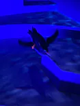 AOAO SAPPOROに投稿された画像（2026/5/17）