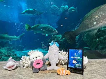 マリンワールド海の中道に投稿された画像（2026/5/17）