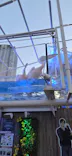 サンシャイン水族館に投稿された画像（2026/5/17）